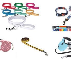 Best Leashes For Shorkies