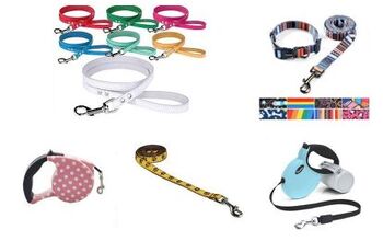 Best Leashes For Shorkies
