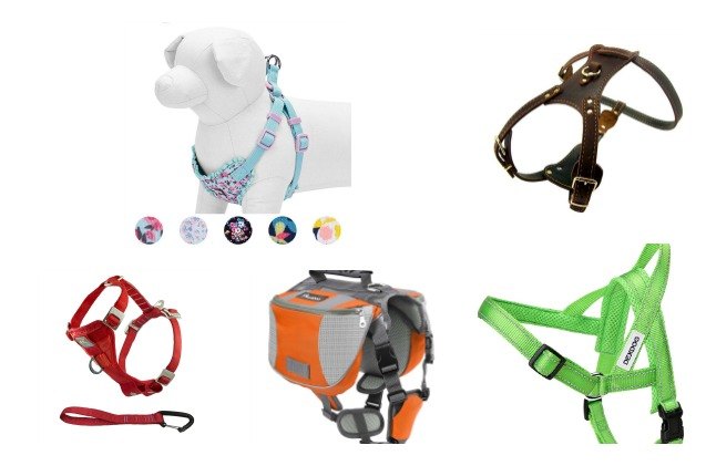 best harnesses for bernedoodles