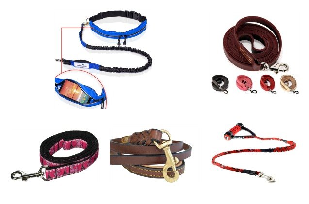 best leashes for bernedoodles