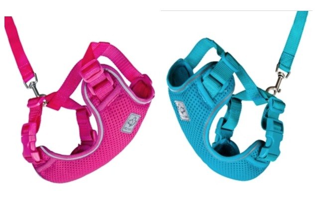 superzoo 2018 rc pets launches adventure harness just for kitties