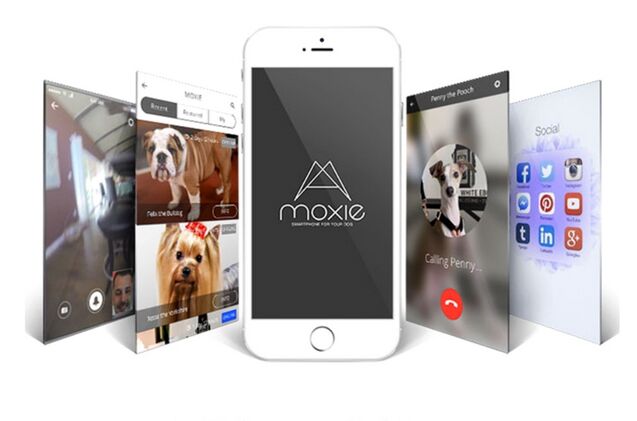 kickstarter 8217 s moxie is first ever smartphone for pets