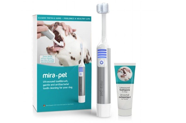 superzoo 2018 electric ultrasound toothbrush for dogs keeps dentist a