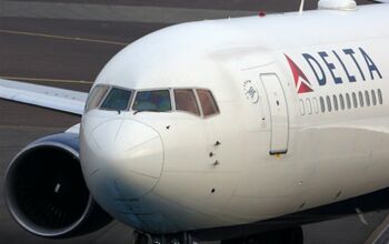 Delta Airlines Bans Pit Bull and ‘Pit Bull Types’ On Planes