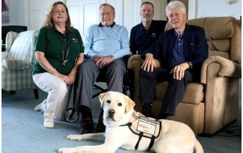 President Bush’s New Family Member Is Service Dog Named Sully