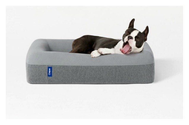 casper dog bed review sweet dreams for dogs