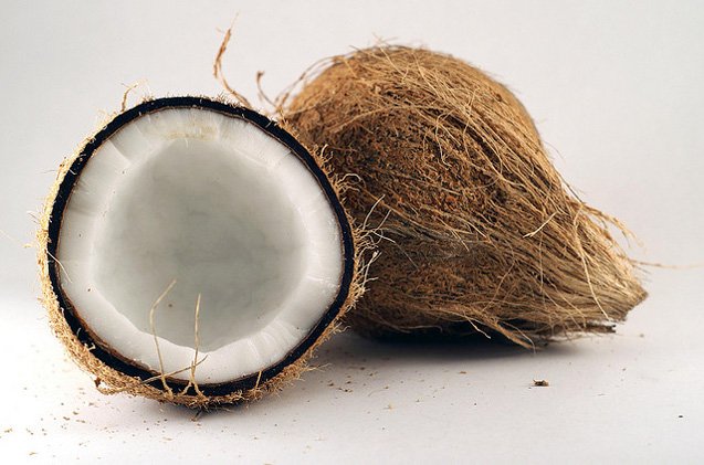 can dogs eat coconut