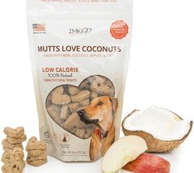 are coconut chips good for dogs