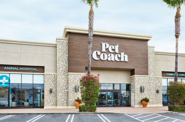 petco 8217 s new store is a one stop shop for pets and their pawrents