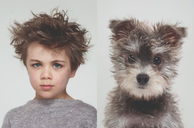 these amazing portraits show owners look like their dogs 8230 or is it the other