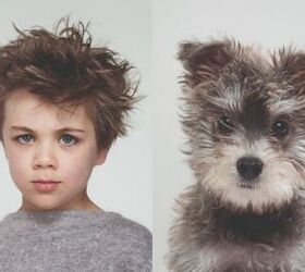 These Amazing Portraits Show Owners Look Like Their Dogs… Or Is It T
