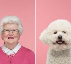 these amazing portraits show owners look like their dogs or is it t