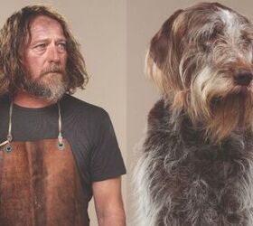 these amazing portraits show owners look like their dogs or is it t