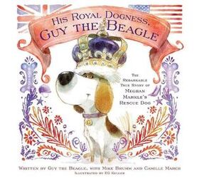 meghan markles royal beagle gets his own childrens book