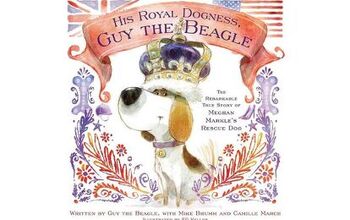 Meghan Markle’s Royal Beagle Gets His Own Children’s Book