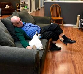 Napping Grandpa Raised $30,000 for a Cat Sanctuary By Snoozing With Ki