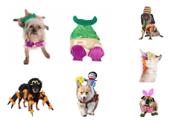 top 10 halloween costumes for dogs