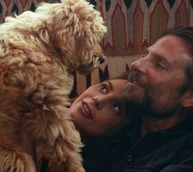 Bradley Cooper Cast His Own Dog in ‘A Star Is Born’