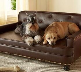 Want a Dog Bed That Looks Like Real Furniture?