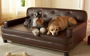 Want a Dog Bed That Looks Like Real Furniture?