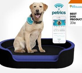 petguides best new dog product of 2018 petrics smart bed ecosystem
