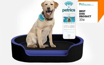PetGuide’s Best New Dog Product of 2018: Petrics Smart Bed Ecosystem