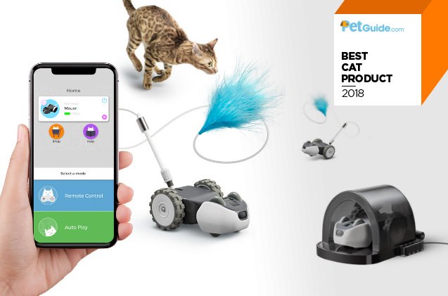 petguide 8217 s best new cat product of 2018 petronics mousr