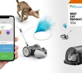PetGuide’s Best New Cat Product of 2018: Petronics Mousr
