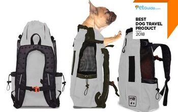 PetGuide’s Best New Dog Travel Product of 2018: K9 Sport Sack