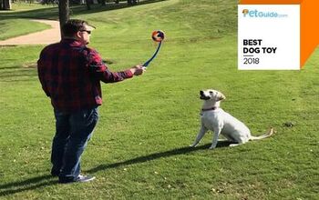 PetGuide’s Best Dog Toy of 2018: Petmate’s Chuckit RingChaser