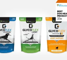PetGuide’s Best New Dog Health Product of 2018: GlycoFlex Plus Chews