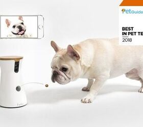 PetGuide’s Best New Pet Tech Of 2018: Furbo Dog Camera
