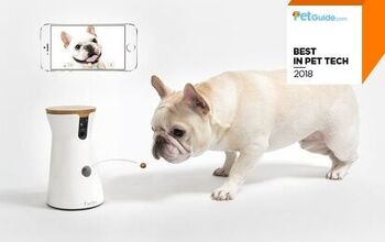 PetGuide’s Best New Pet Tech Of 2018: Furbo Dog Camera