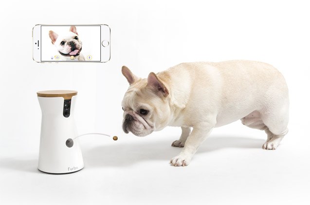 petguides best new pet tech of 2018 furbo dog camera