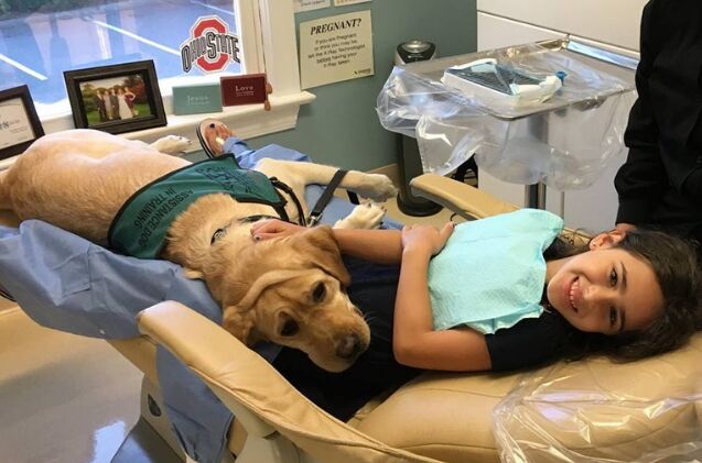 this adorable pooch makes sure youre not afraid of the dentist