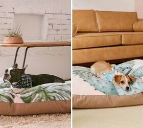 urban outfitters new line of chic dog beds is making us sleepy