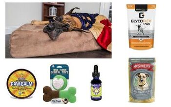 Best Wellness Products For Senior Dogs