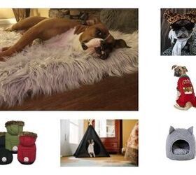 Best Warm and Cozy Gifts for Dogs