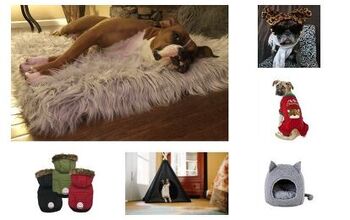 Best Warm and Cozy Gifts for Dogs
