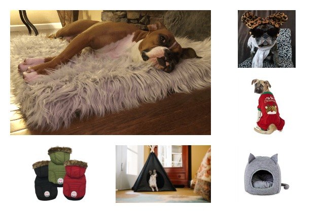 best warm and cozy gifts for dogs