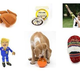 Top 10 Stocking Stuffers For Pets