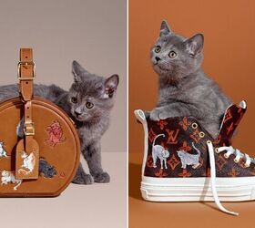 Catogram: Grace Coddington brings her cats to Louis Vuitton