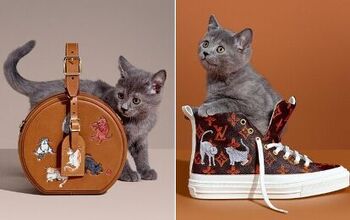 New Louis Vuitton Collection Is the Cat’s Meow