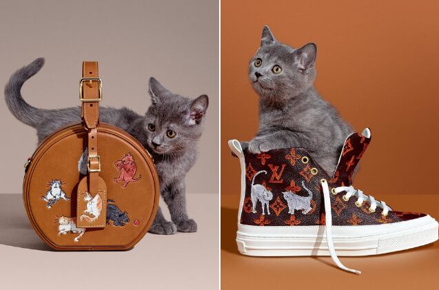 new louis vuitton collection is the cats meow