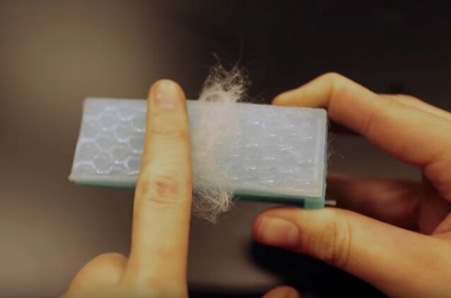 researchers developed a cat brush that looks and works like a feline tongue