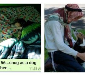 worlds best mom sends dog a day pictures to her son for a year