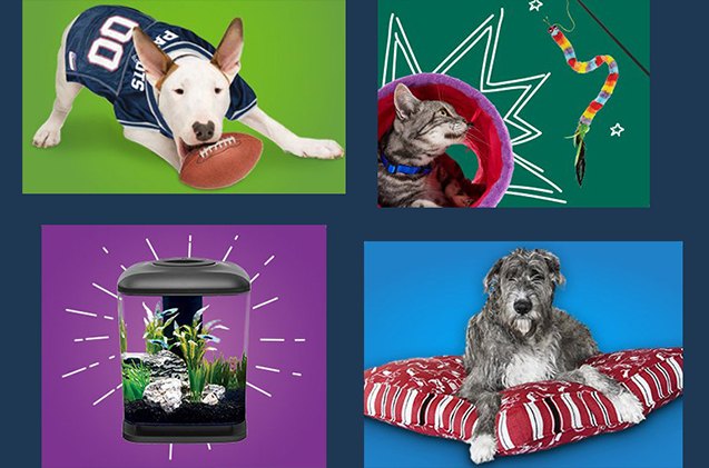 it 8217 s the perfect time to holiday shop for your pets