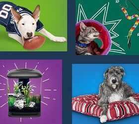 It’s The Perfect Time to Holiday Shop for Your Pets