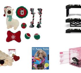 Top 10 Gifts For Puppies To Make Their Season Merry And Bright