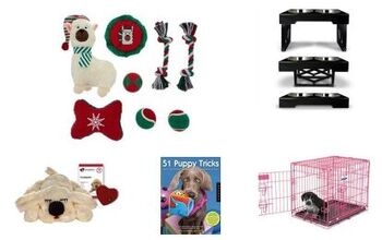Top 10 Gifts For Puppies To Make Their Season Merry And Bright